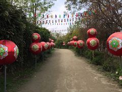 -盛世牡丹苑生态文化旅游区