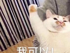 -华东政法大学(松江校区)