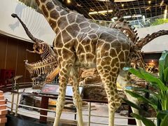 -昆明动物博物馆