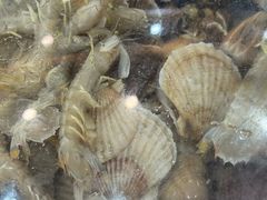 -仙螺岛海鲜自助餐厅(总店)