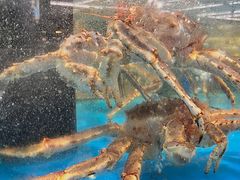 -麦德龙(郑东店)