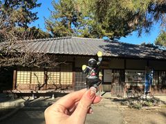 -名古屋城