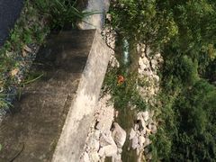 iphone_upload_pic-安吉龙王山峡谷漂流