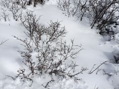 -黄龙山原始森林景区