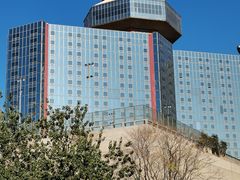 -三里屯东五街银杏大道