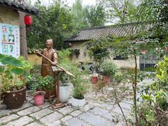 -合肥滨湖国家森林公园