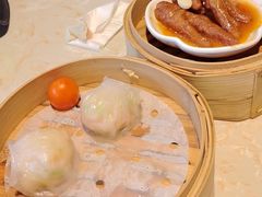 -点都德·毕德寮