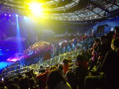 -芜湖新华联大白鲸海洋公园