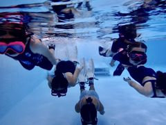 -上海潜殿潜水中心