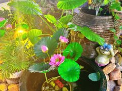 -五合院·整点烤肉