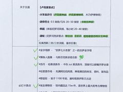 -开罗国际机场