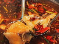 -乡土特色.冷锅鱼.牦牛肉汤锅