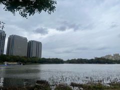 -南翔镇银翔湖公园