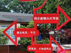 -杨梅坑