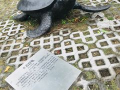 -广东惠东海龟国家级自然保护区