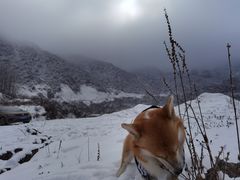 -太子岭滑雪场