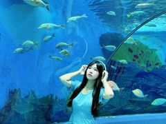 -合肥海洋世界