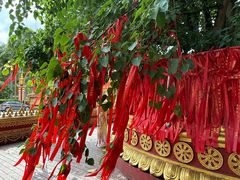-西双版纳总佛寺