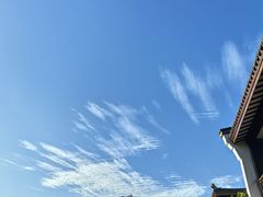 -杭州雅谷泉山庄酒店-餐厅