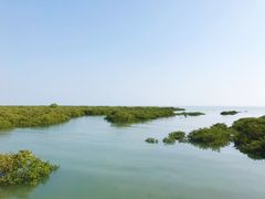 -北海金海湾红树林生态旅游区