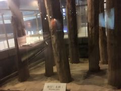 -元代水闸遗址博物馆