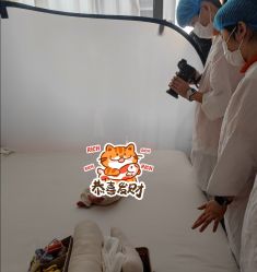 -玛瑞莎孕婴童摄影到家拍