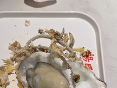 -杨氏青龙虾·羊蝎子(托乐嘉店)