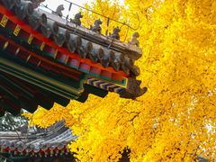 -承恩寺