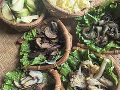 -滇野云南野生菌餐厅(陕西南路店)