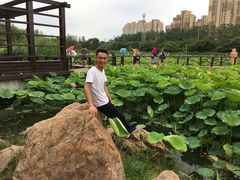-前关湿地公园