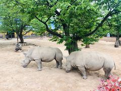 -西安秦岭野生动物园