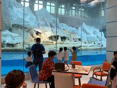 -帝企鹅自助餐厅•儿童岛•真企鹅(长隆企鹅酒店)