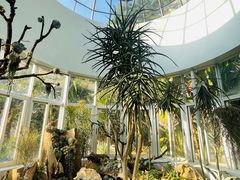 -深圳仙湖植物园