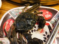 -汉江山料理级自助烤肉黑金冠(周口好吃城店)