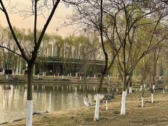 -西安浐灞国家湿地公园