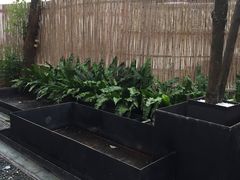 -云里小坐·小院里·团建·宴请·下午茶(三圣乡店)