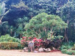 -中国科学院西双版纳热带植物园