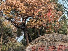 -灵岩山风景区