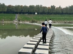 -洨河生态公园