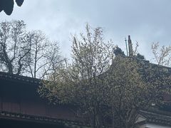 -宁波市保国寺古建筑博物馆