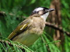 -重庆彩云湖湿地公园