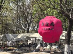 -长白岛森林公园