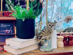 -FLOVIE FLORIST CAFE