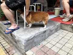 栗子-小梁哥云吞面(黄贝岭店)