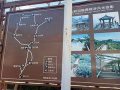 -大岭沟猕猴桃谷风景区