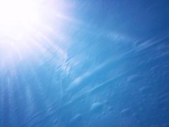 -上海潜殿潜水中心