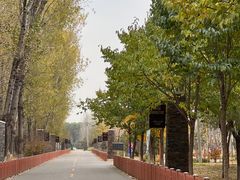 -东郊湿地公园