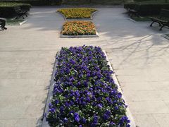 -徐家汇源景区-衡山公园