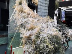 -成都许燎源现代设计艺术博物馆