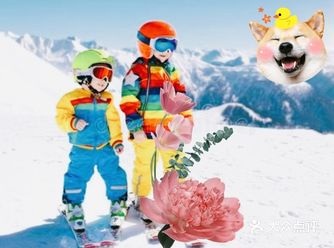 认真滑雪的小朋友，这也太可爱吧